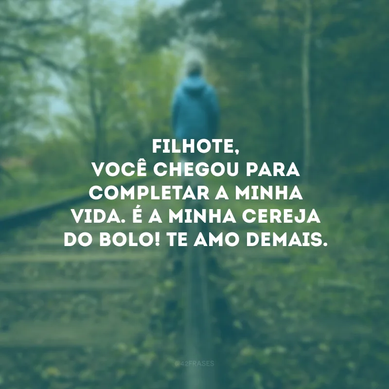 Filhote, você chegou para completar a minha vida. É a minha cereja do bolo! Te amo demais.