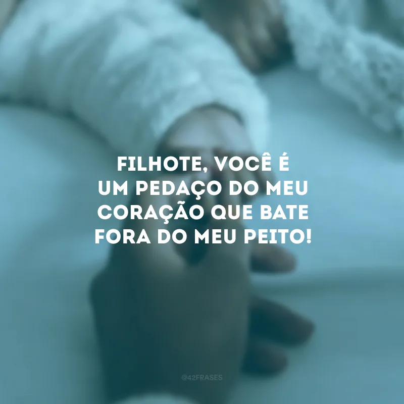 Filhote, você é um pedaço do meu coração que bate fora do meu peito!