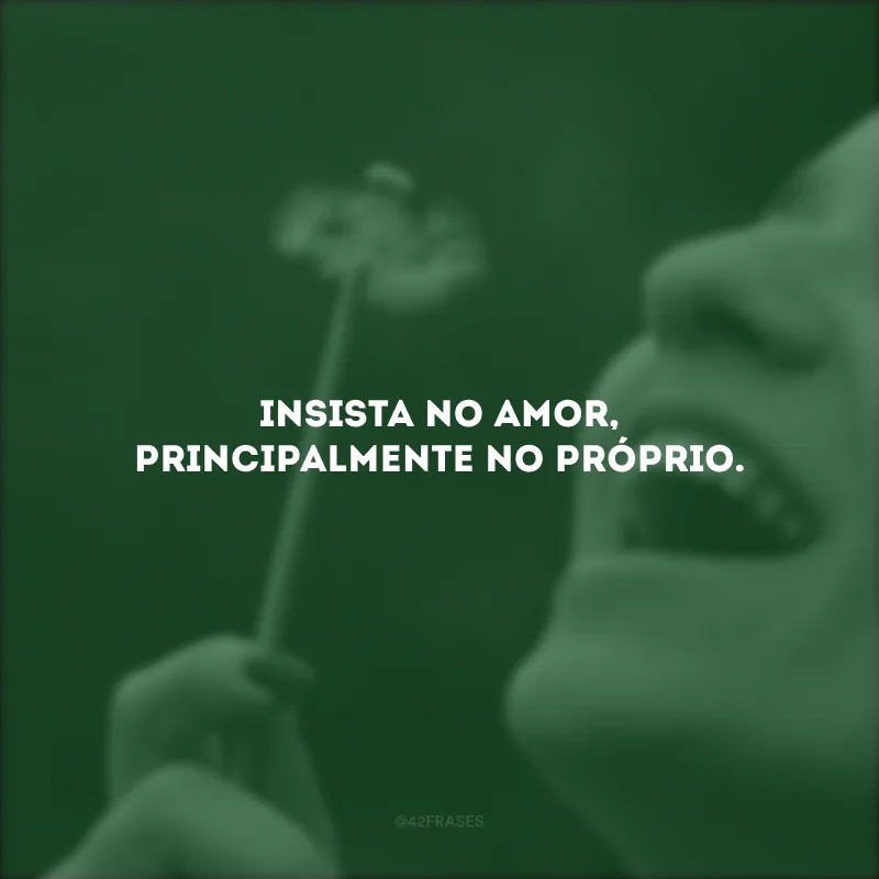 Insista no amor, principalmente no próprio.