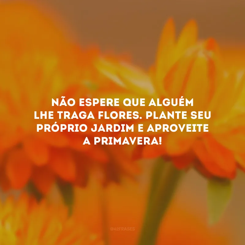 Não espere que alguém lhe traga flores. Plante seu próprio jardim e aproveite a primavera!