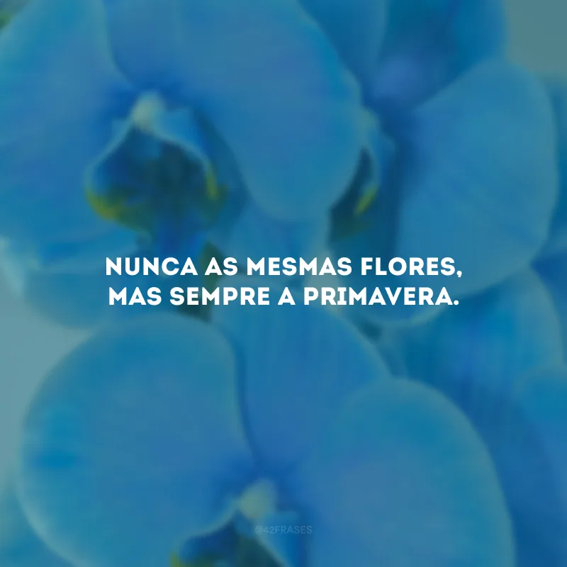 Nunca as mesmas flores, mas sempre a primavera.