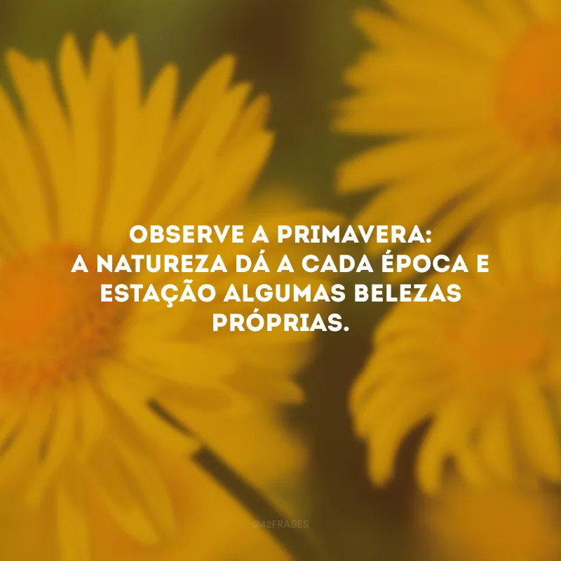 Observe a primavera: a natureza dá a cada época e estação algumas belezas próprias.