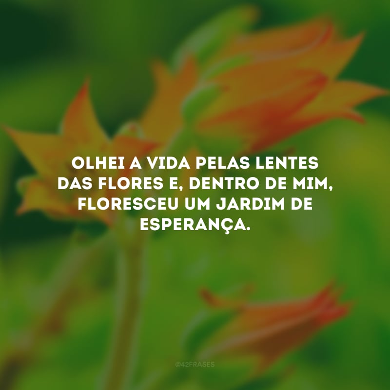 Olhei a vida pelas lentes das flores e, dentro de mim, floresceu um jardim de esperança.