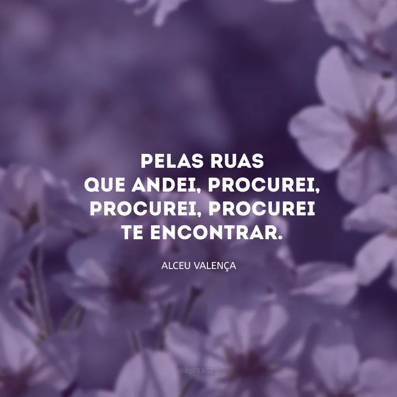 Pelas ruas que andei, procurei, procurei, procurei te encontrar. 