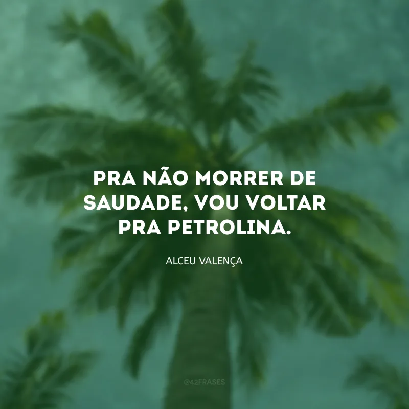 Pra não morrer de saudade, vou voltar pra Petrolina. 