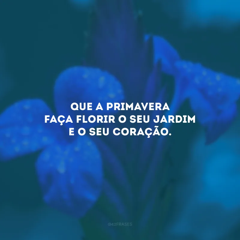 Que a primavera faça florir o seu jardim e o seu coração.
