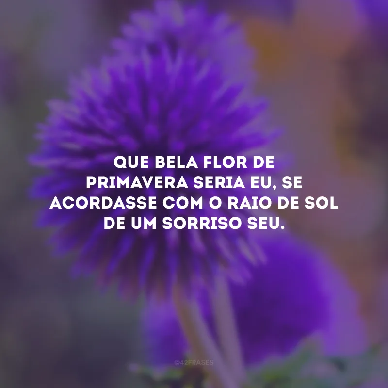 Que bela flor de primavera seria eu, se acordasse com o raio de sol de um sorriso seu.