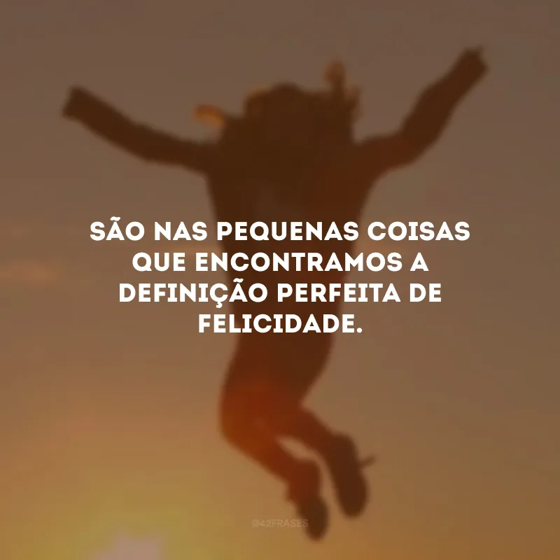 São nas pequenas coisas que encontramos a definição perfeita de felicidade.