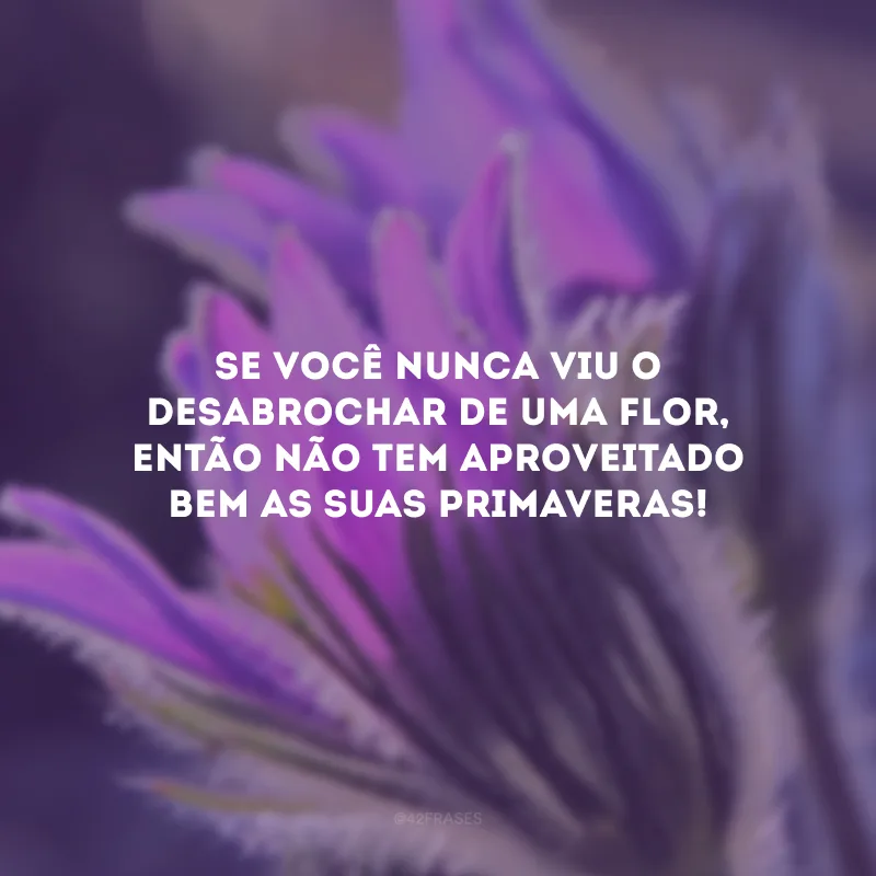 Se você nunca viu o desabrochar de uma flor, então não tem aproveitado bem as suas primaveras!