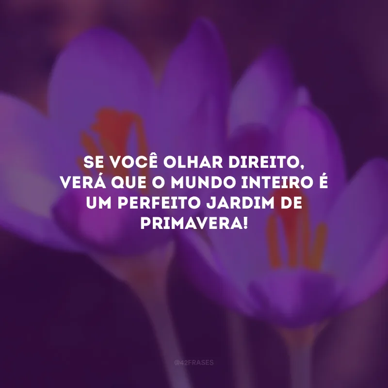 Se você olhar direito, verá que o mundo inteiro é um perfeito jardim de primavera!