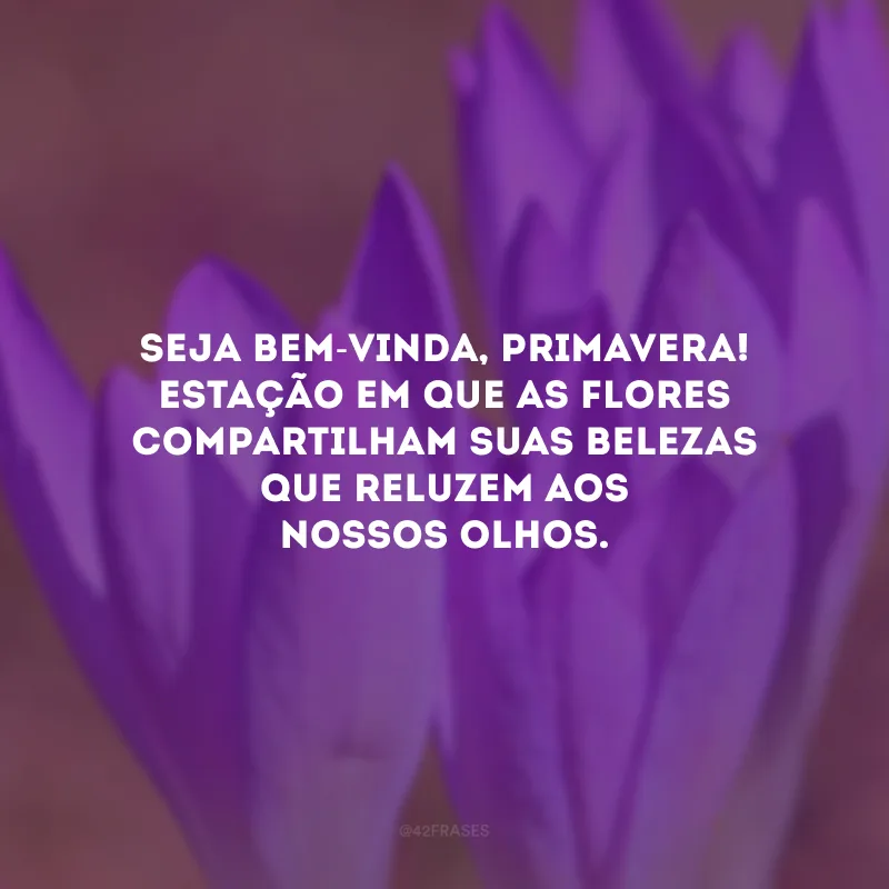 Seja bem-vinda, primavera! Estação em que as flores compartilham suas belezas que reluzem aos nossos olhos.