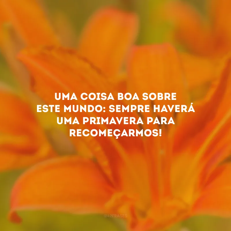 Uma coisa boa sobre este mundo: sempre haverá uma primavera para recomeçarmos!