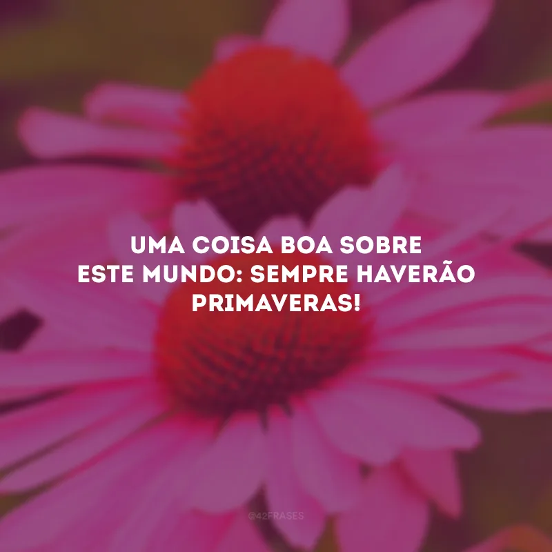 Uma coisa boa sobre este mundo: sempre haverão primaveras!