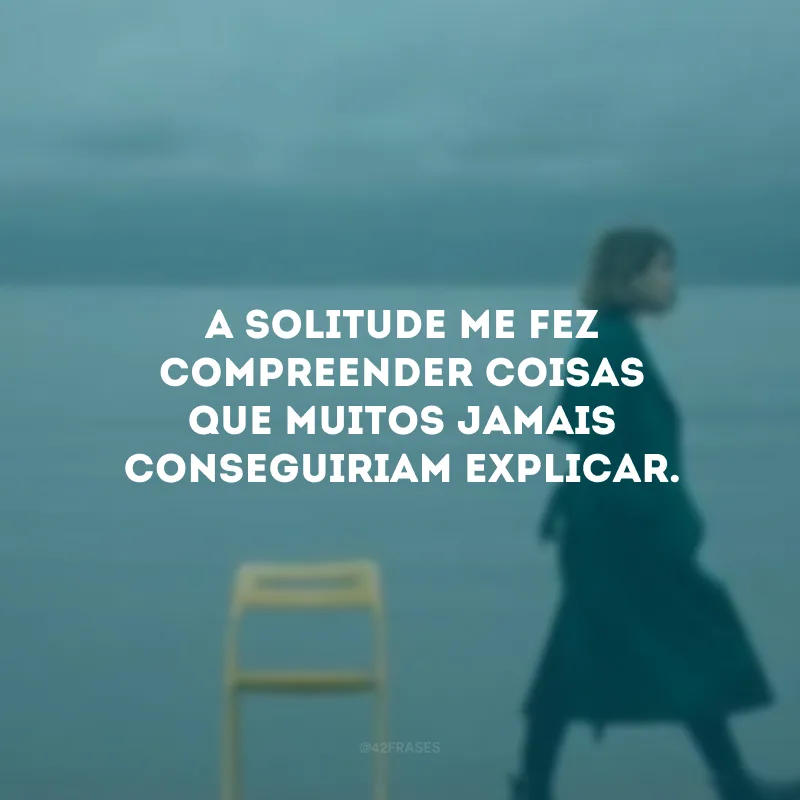 A solitude me fez compreender coisas que muitos jamais conseguiriam explicar. 