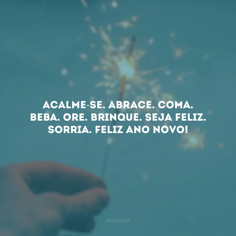 Acalme-se. Abrace. Coma. Beba. Ore. Brinque. Seja feliz. Sorria. Feliz Ano Novo!