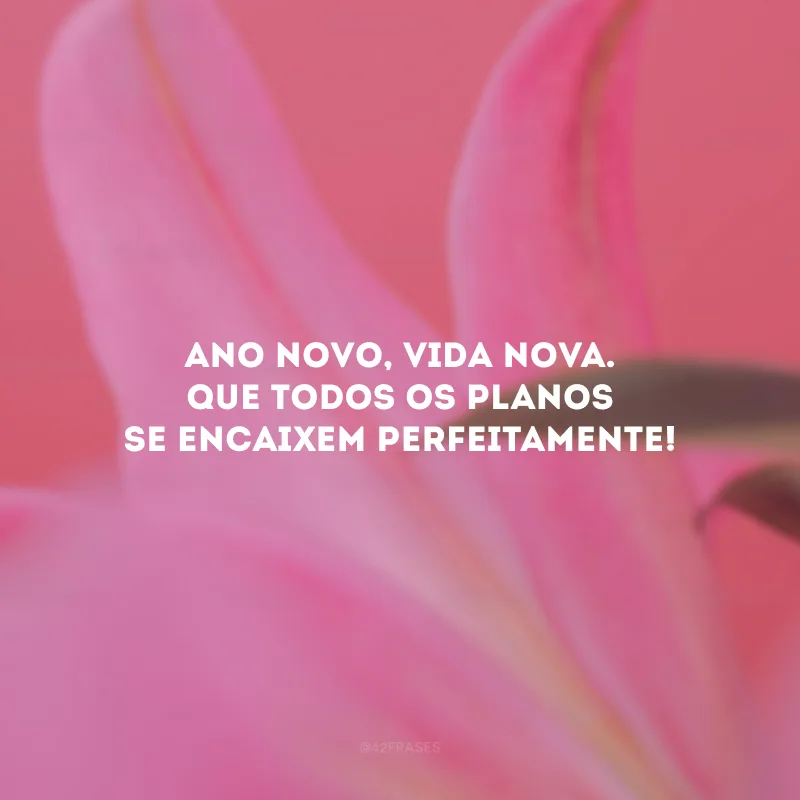 Ano Novo, vida nova. Que todos os planos se encaixem perfeitamente!