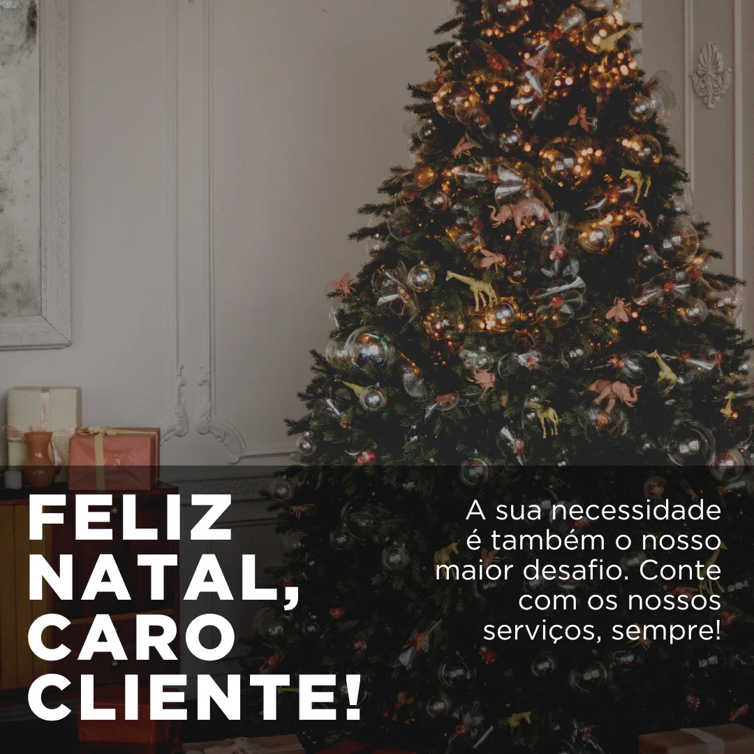 Feliz Natal, caro cliente! A sua necessidade é também o nosso maior desafio. Conte com os nossos serviços, sempre!