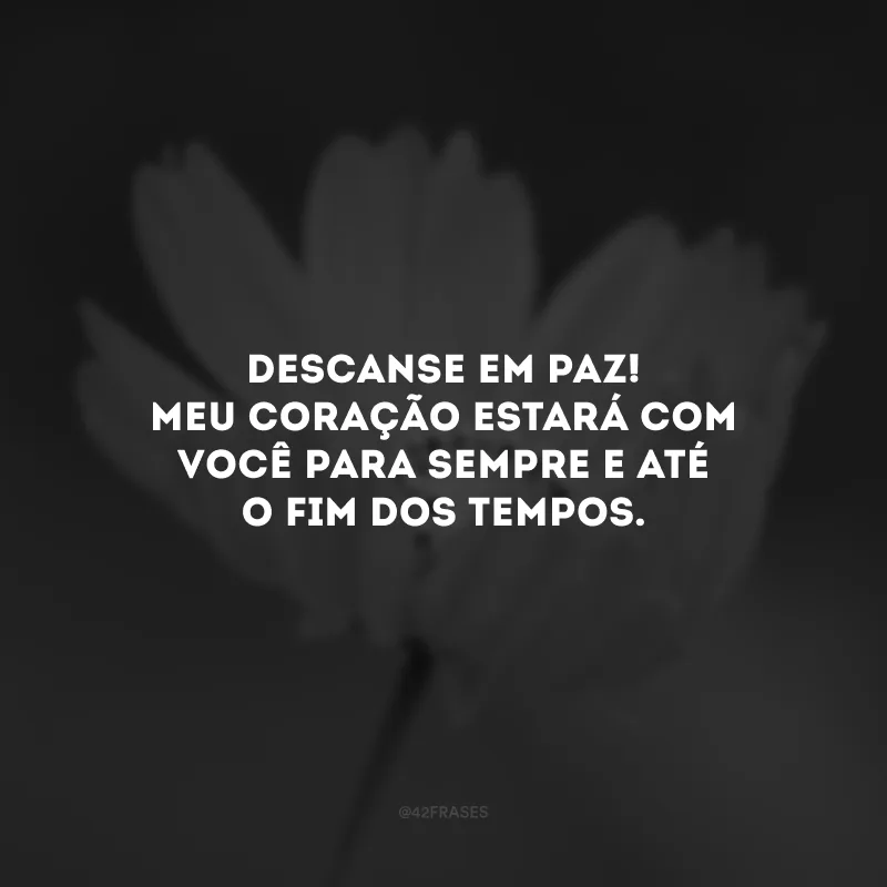 Descanse em paz! Meu coração estará com você para sempre e até o fim dos tempos.