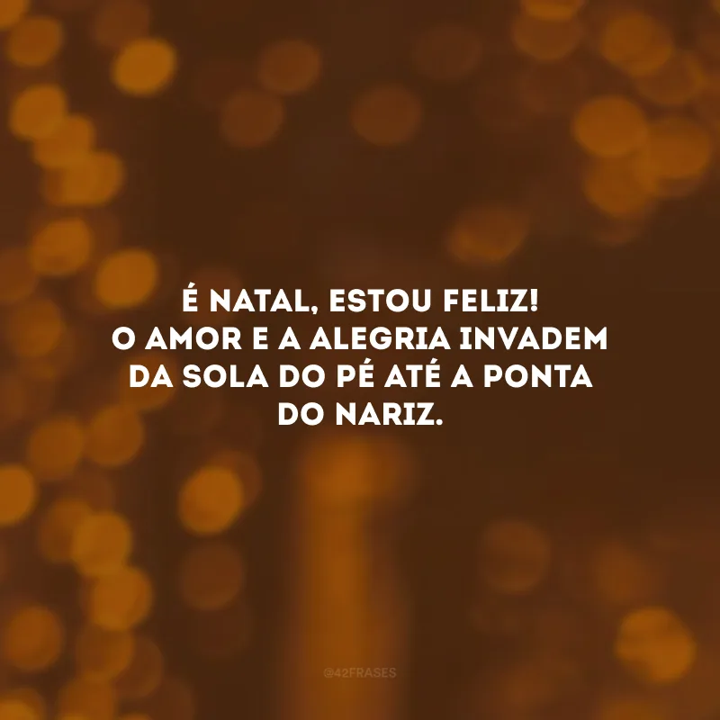 É Natal, estou feliz! O amor e a alegria invadem da sola do pé até a ponta do nariz.