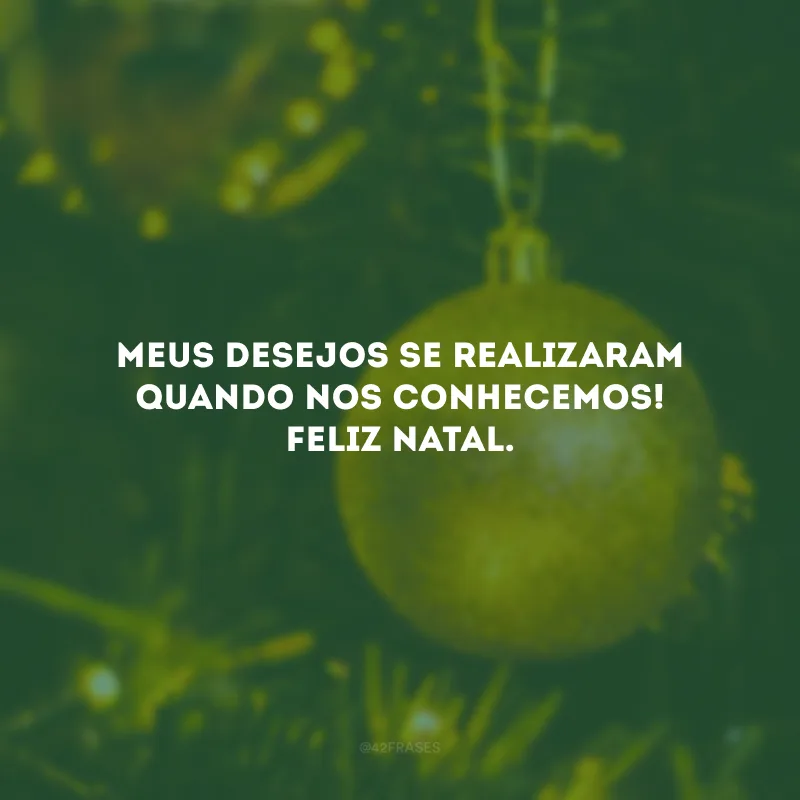 Meus desejos se realizaram quando nos conhecemos! Feliz Natal.