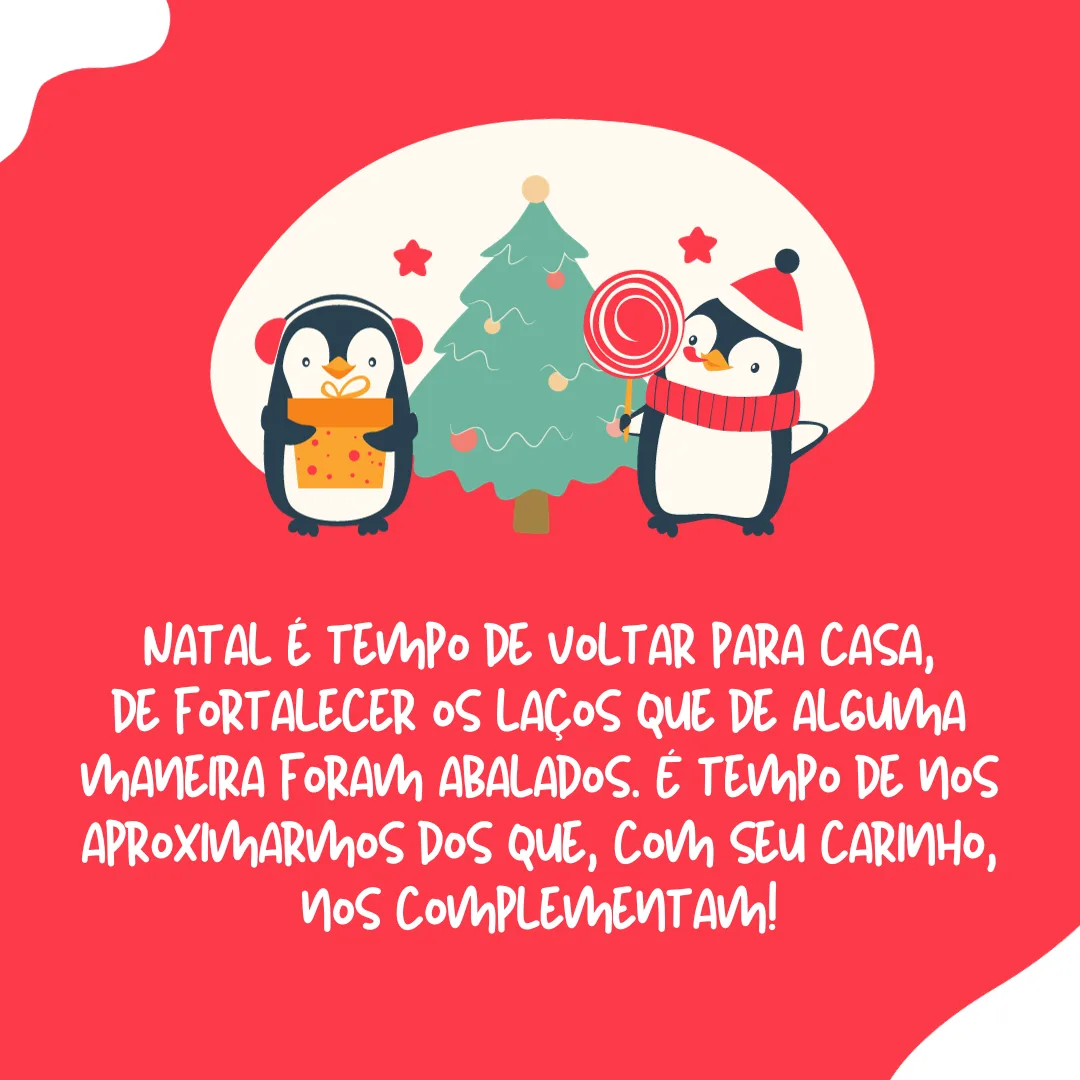 Natal é tempo de voltar para casa, de fortalecer os laços que de alguma maneira foram abalados. É tempo de nos aproximarmos dos que, com seu carinho, nos complementam!