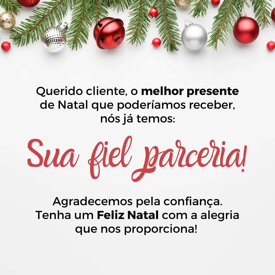 Querido cliente, o melhor presente de Natal que poderíamos receber, já temos: sua fiel parceria. Agradecemos pela confiança. Tenha um Feliz Natal com a alegria que nos proporciona! 