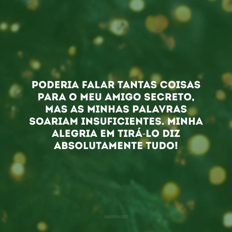 Poderia falar tantas coisas para o meu amigo secreto, mas as minhas palavras soariam insuficientes. Minha alegria em tirá-lo diz absolutamente tudo! 