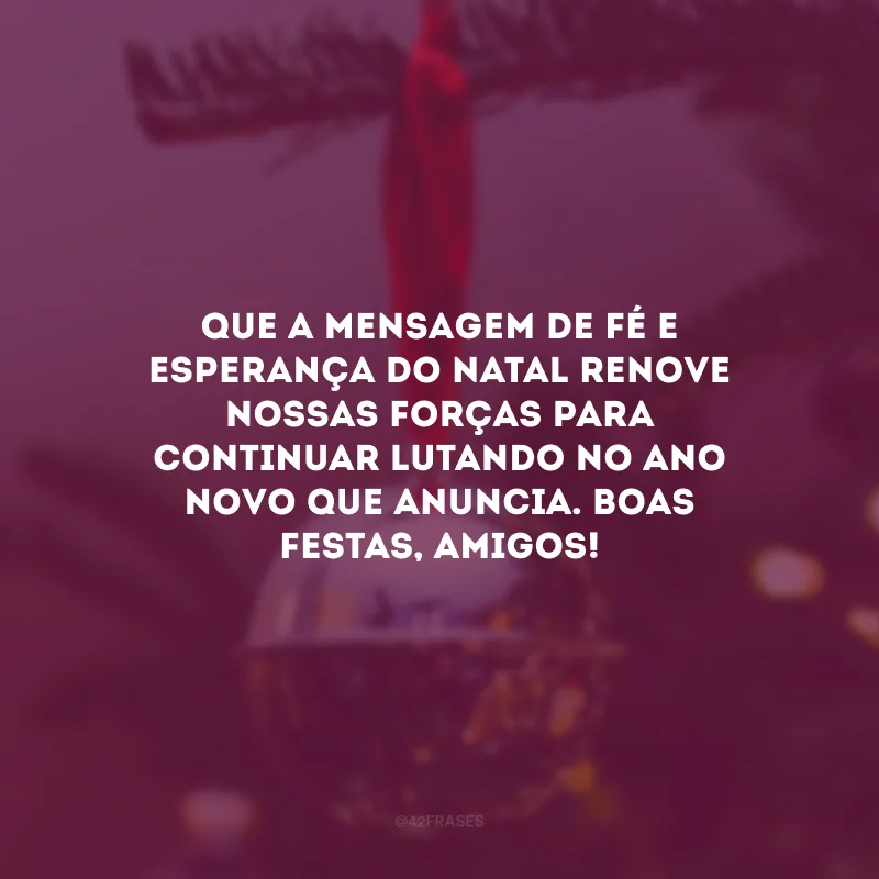 Que a mensagem de fé e esperança do Natal renove nossas forças para continuar lutando no Ano Novo que anuncia. Boas Festas, amigos!