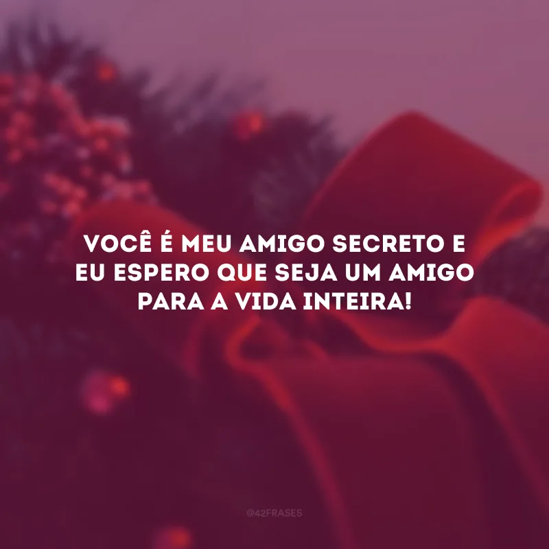 Você é meu amigo secreto e eu espero que seja um amigo para a vida inteira!