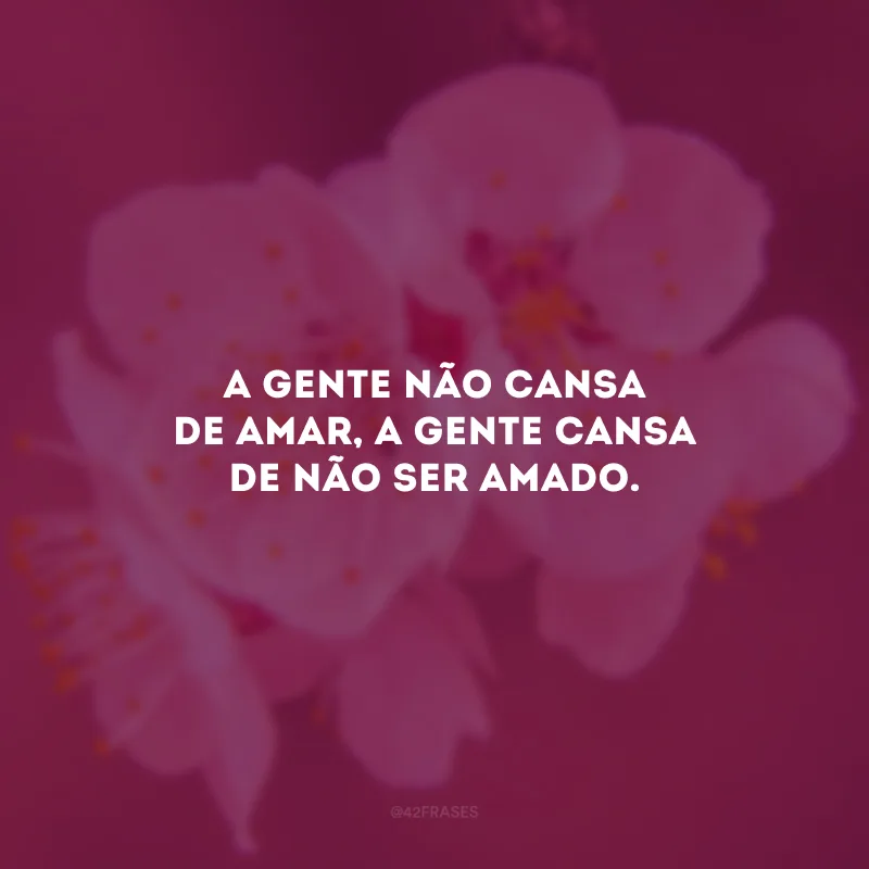 A gente não cansa de amar, a gente cansa de não ser amado.