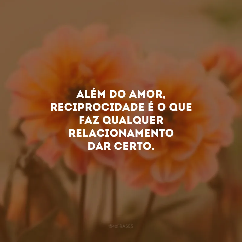 Além do amor, reciprocidade é o que faz qualquer relacionamento dar certo.