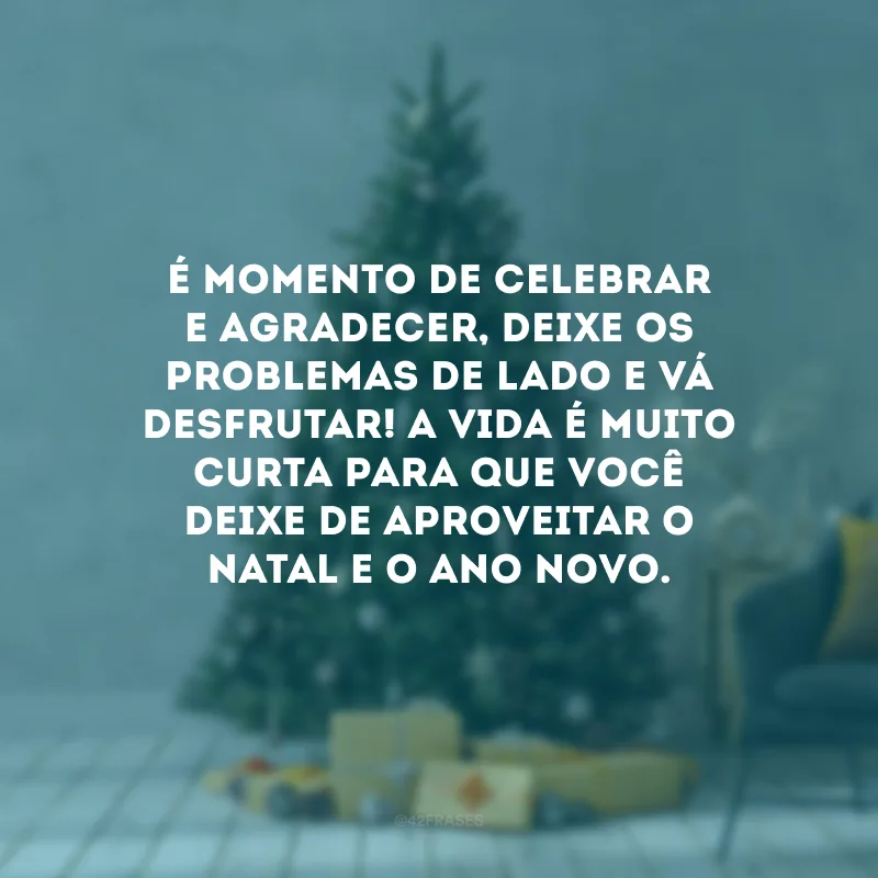 É momento de celebrar e agradecer, deixe os problemas de lado e vá desfrutar! A vida é muito curta para que você deixe de aproveitar o Natal e o Ano Novo. 