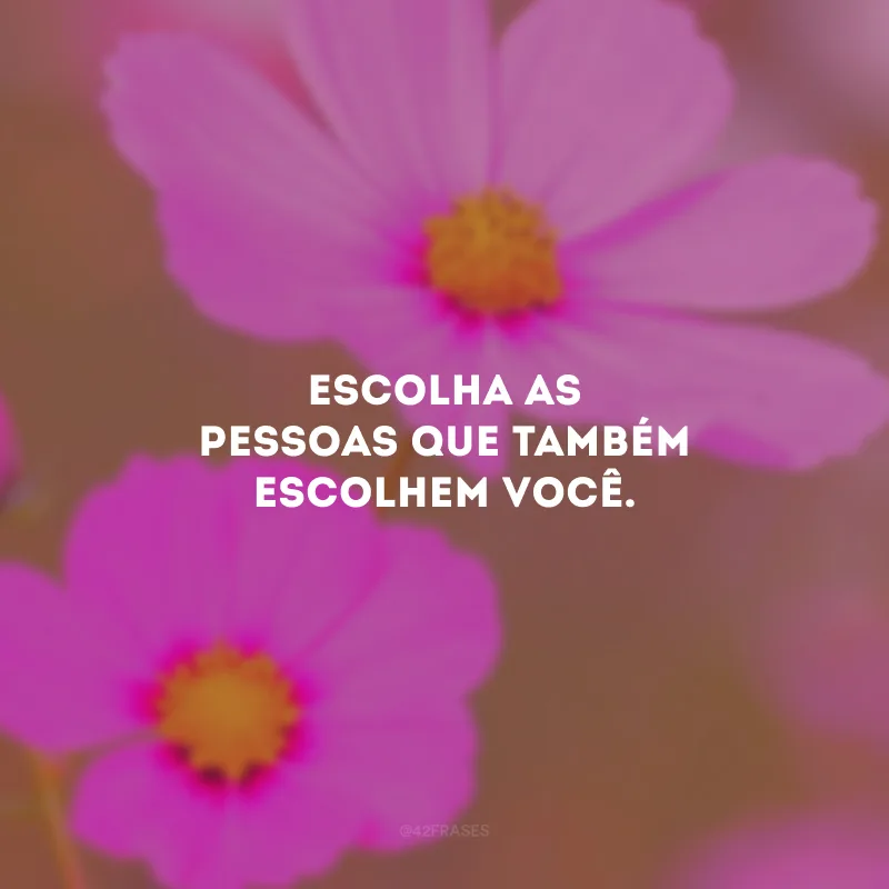 Escolha as pessoas que também escolhem você.