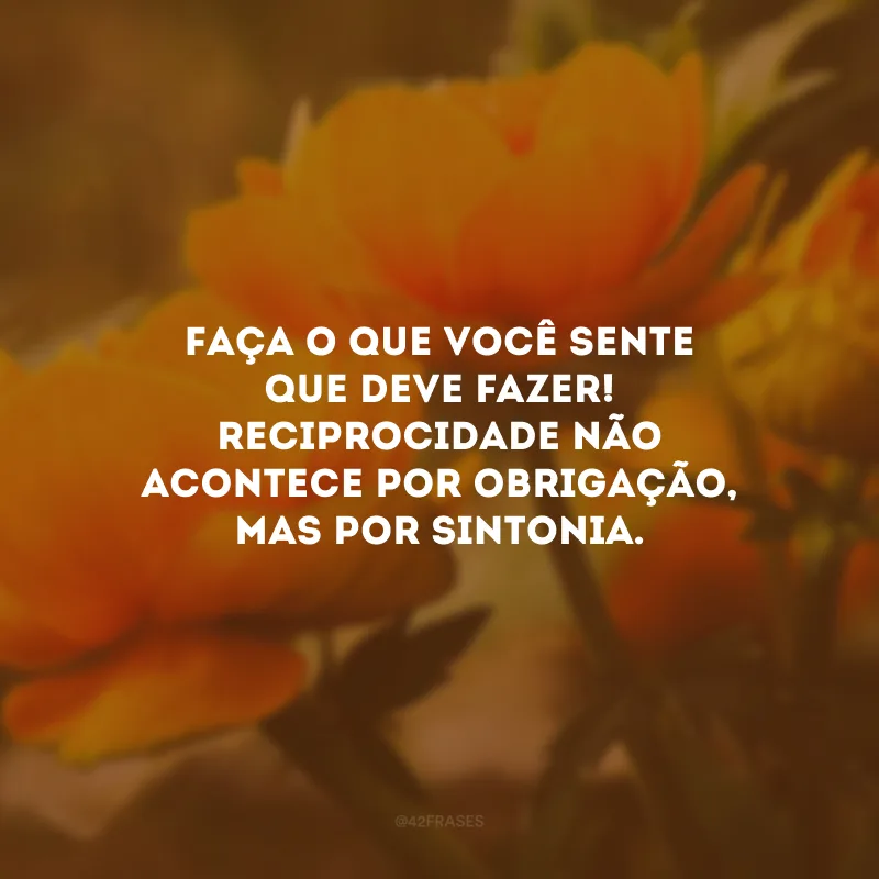 Faça o que você sente que deve fazer! Reciprocidade não acontece por obrigação, mas por sintonia.