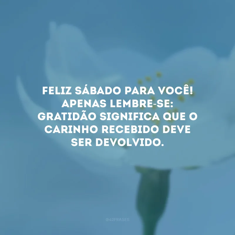 Feliz sábado para você! Apenas lembre-se: gratidão significa que o carinho recebido deve ser devolvido.