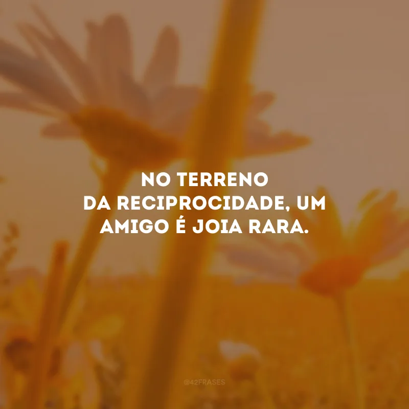No terreno da reciprocidade, um amigo é joia rara.