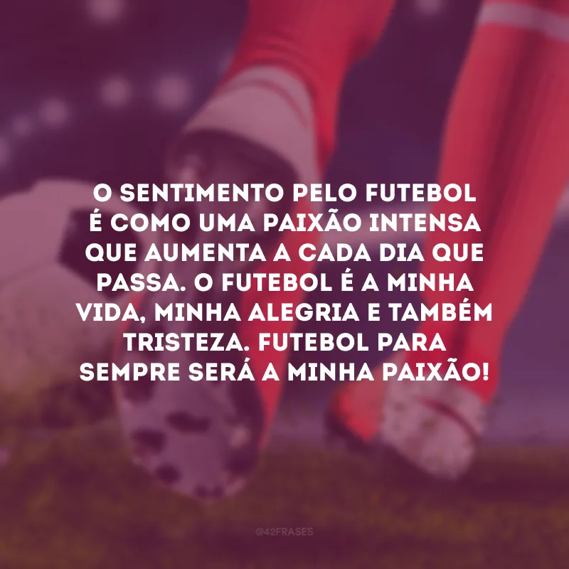 O sentimento pelo futebol é como uma paixão intensa que aumenta a cada dia que passa. O futebol é a minha vida, minha alegria e também tristeza. Futebol para sempre será a minha paixão!