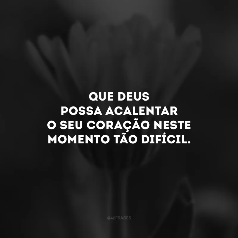 Que Deus possa acalentar o seu coração neste momento tão difícil.