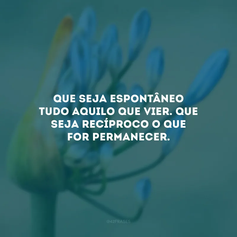Que seja espontâneo tudo aquilo que vier. Que seja recíproco o que for permanecer.