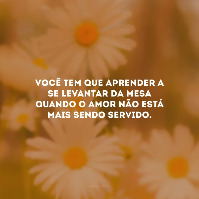 Você tem que aprender a se levantar da mesa quando o amor não está mais sendo servido.