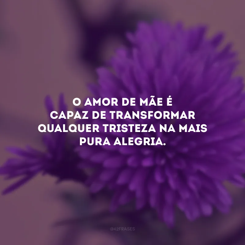 O amor de mãe é capaz de transformar qualquer tristeza na mais pura alegria. 
