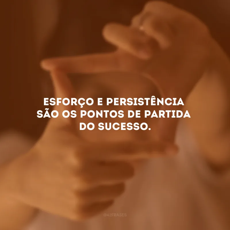 Esforço e persistência são os pontos de partida do sucesso.