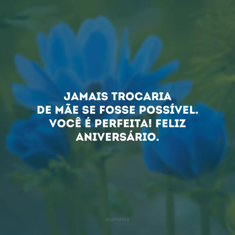 Jamais trocaria de mãe se fosse possível. Você é perfeita! Feliz aniversário.