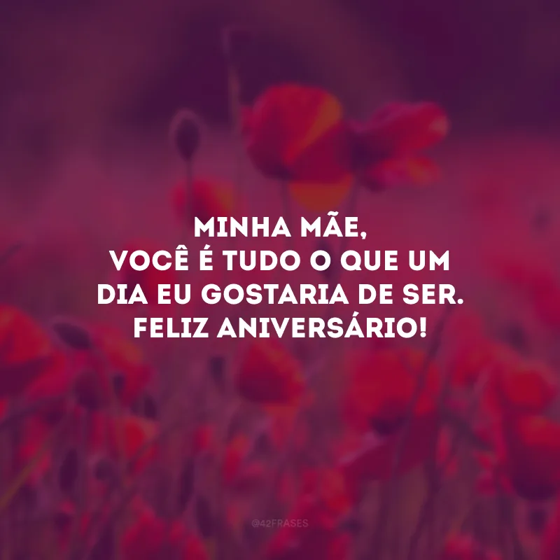 Minha mãe, você é tudo o que um dia eu gostaria de ser. Feliz aniversário!