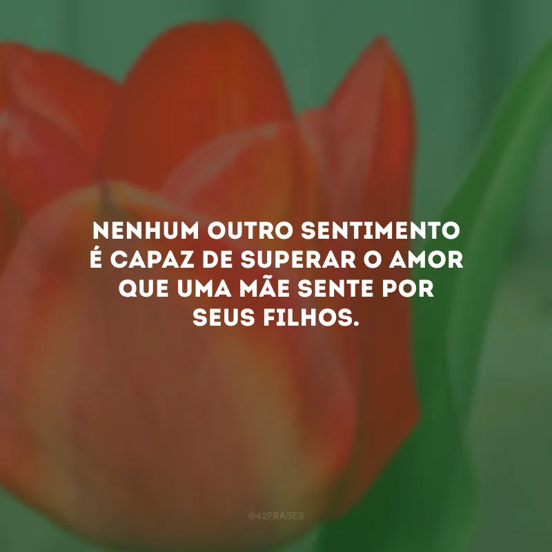 Nenhum outro sentimento é capaz de superar o amor que uma mãe sente por seus filhos. 