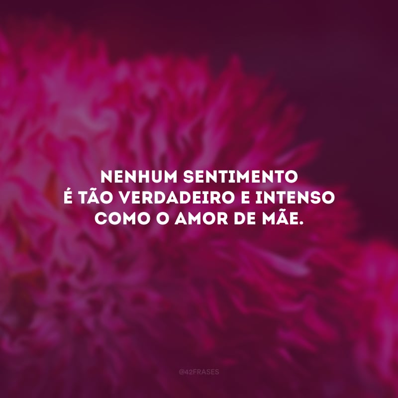 Nenhum sentimento é tão verdadeiro e intenso como o amor de mãe. 