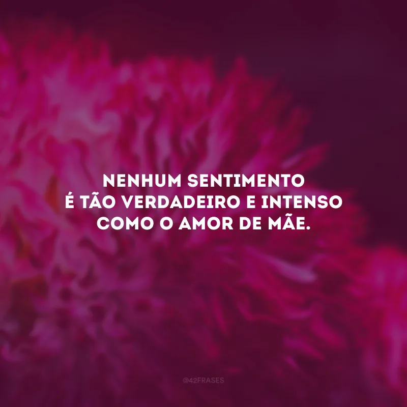 Nenhum sentimento é tão verdadeiro e intenso como o amor de mãe. 