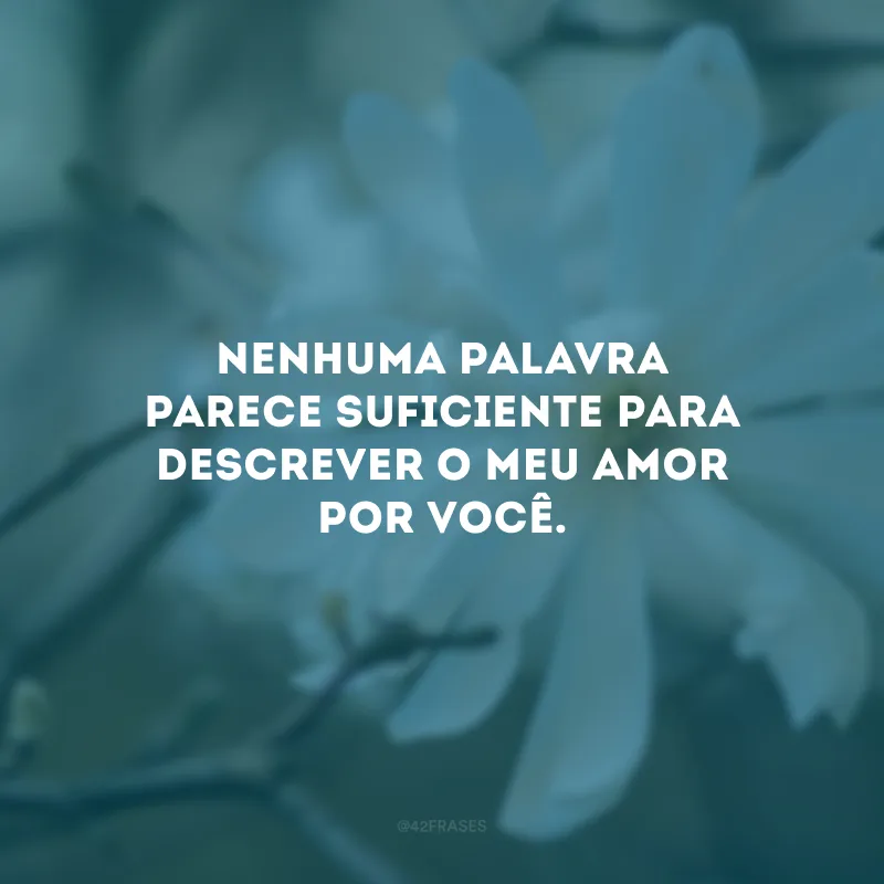 Nenhuma palavra parece suficiente para descrever o meu amor por você.