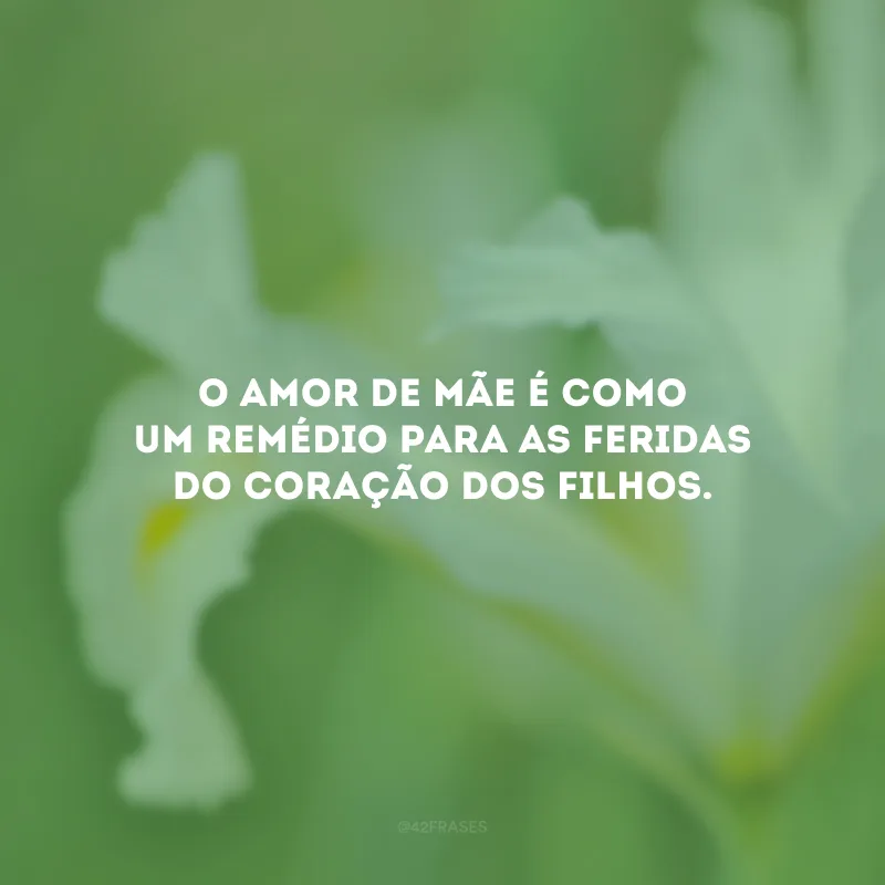 O amor de mãe é como um remédio para as feridas do coração dos filhos.