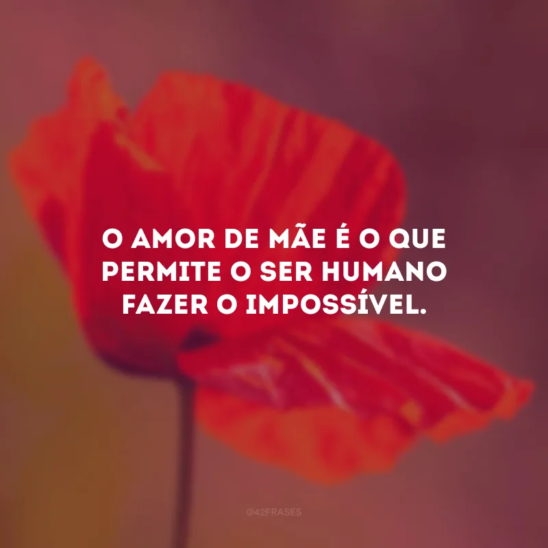 O amor de mãe é o que permite o ser humano fazer o impossível. 
